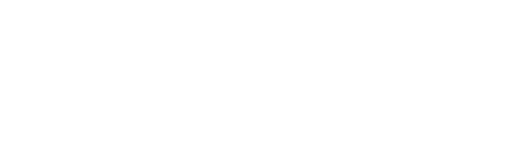 Selekt